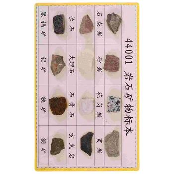 12 kos Mineralnih Rock Vzorcu Zaslon Mineralnih Rock Vzorcu Geologija Razredu Mineralnih Rock Vzorec