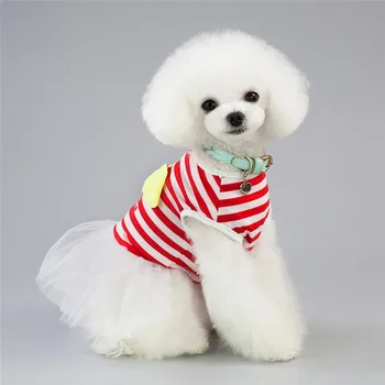 Moda za Hišne živali Oblačila za Igro Cute Dog Oblačenja Proge Vrh z Angel Wings & Sweet Gaza Krilo Pes Čipke Obleko Tutu