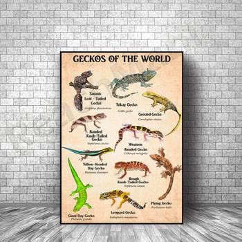 Svet gecko plakat, retro gecko znanja tip plakat, ljubitelj živali plakat, živali gecko umetnosti